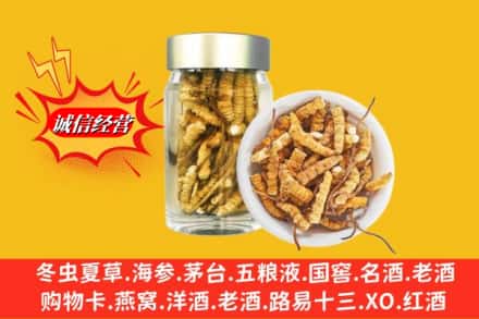 黔南州平塘回收散虫草
