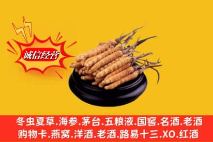 黔南州平塘求购回收虫草多少钱每克